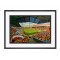 Tannadice Park Stadium 'Yesteryear' Fine Art Print - Dundee United FC